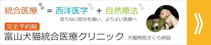 富山犬猫統合医療クリニックへ移動します。